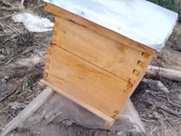 Box Langstroth Hives — 照片 1