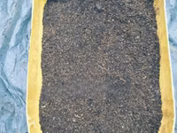 Black Soldier Fly Frass. ( Organic Fertilizer ) 25 KGS — picha 2