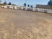 Baled Silage — फ़ोटो 3