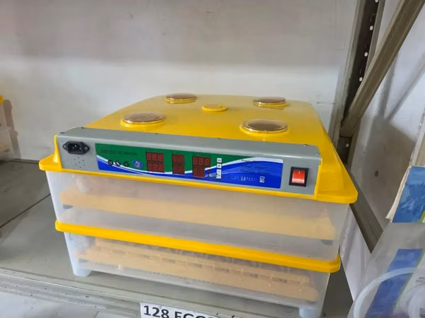 Incubator Chicken Egg