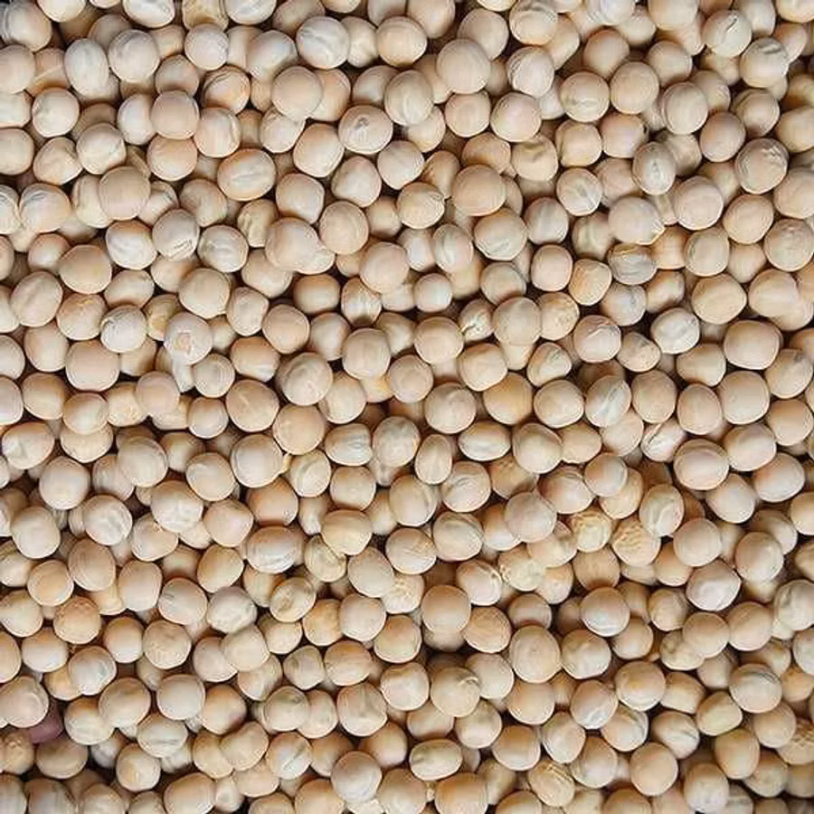 Mazăre