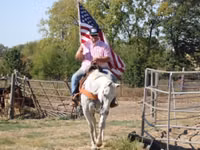 Caballo, Quarter Horse — foto 6