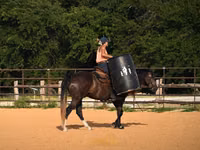 Caballo, Quarter Horse — foto 8