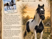 Farasi dume, American paint horse — picha 4