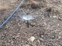 Microjet Sprinkler — Foto 5