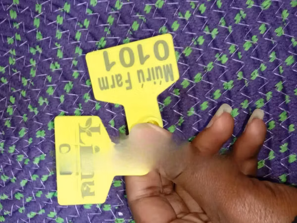 Customized Sheep Ear Tags - Resistant Material