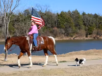 Caballo, National Show Horse — foto 6