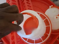 Chick Feeders (Vya Chakula Kwa Ajili Ya Vifaranga) — picha 2