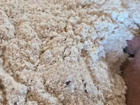 Maize Meal (DONA LA Mifugo) — picha 2