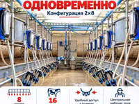 Доильный зал Melasty профессиональная система для молочных ферм ПОД — picha 2