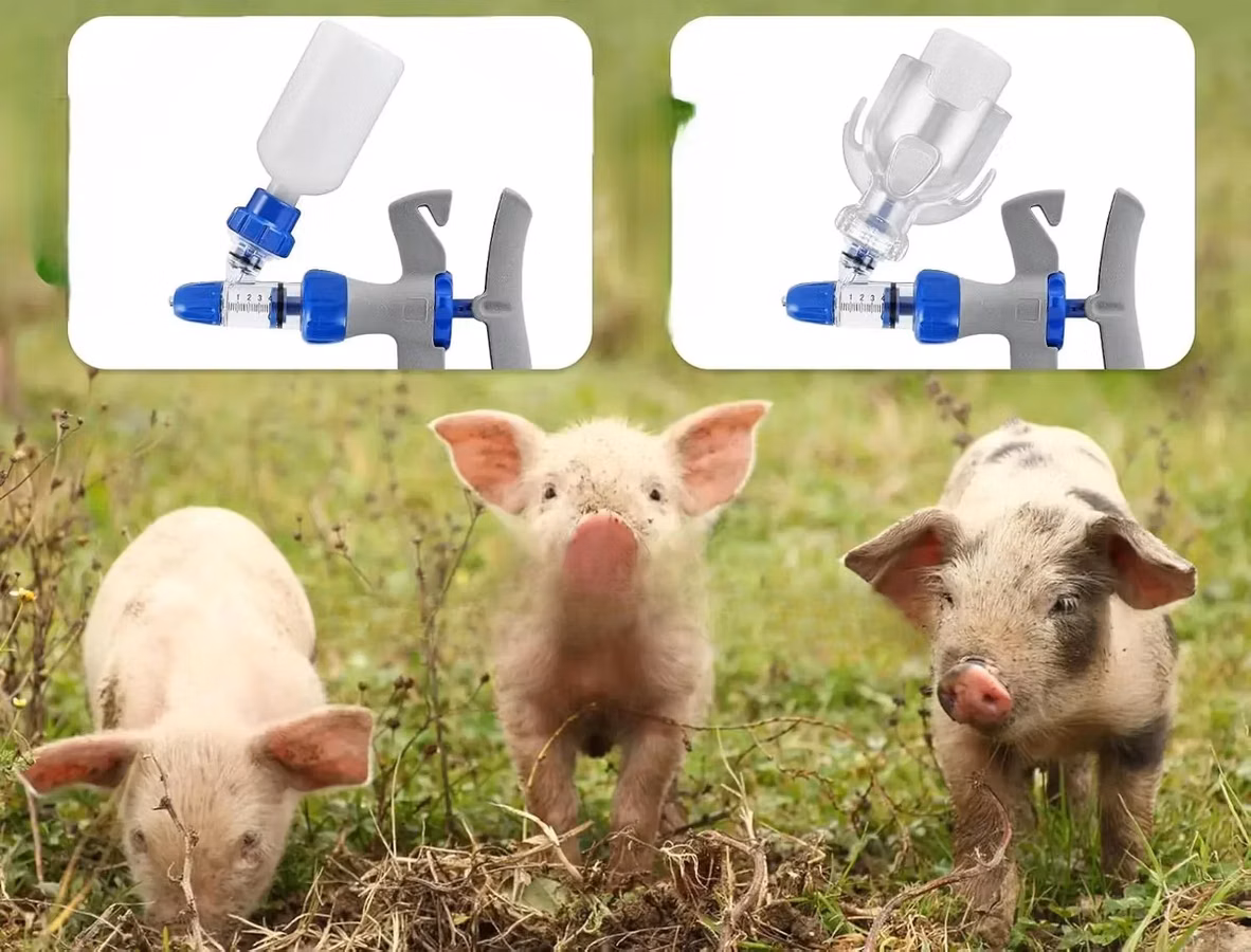 Farm-Ready Vaccination Equipment - 1ml