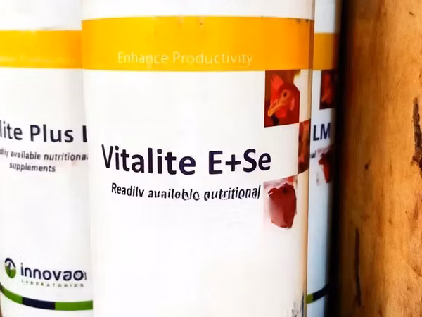 Vitalite E+Se (Poultry Medication)
