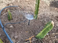 Microjet Sprinkler — Foto 4