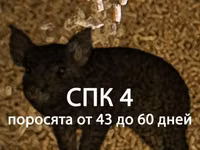 Комбикорм для ИНДЮКОВ "ФИНИШ" (от 45 дней) — Foto 5