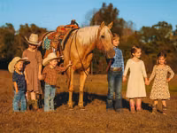 Farasi dume, Quarter Horse — picha 4