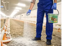 Poultry Disinfectant | Chicken House Disinfectant | Farm Biosecurity K — picha 4