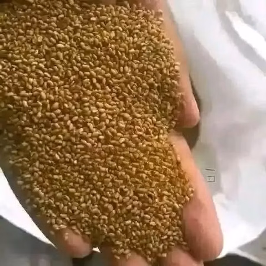 Lucerne Hay, Pellets Seeds
