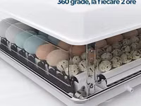 Incubator MS 63 — picha 3