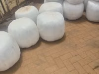 Premium Full-Corn Silage Ready for Collection / Delivery — foto 5