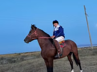 Farasi dume, Kustanai horse — picha 3