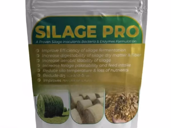 Silage Pro 100 G BFB