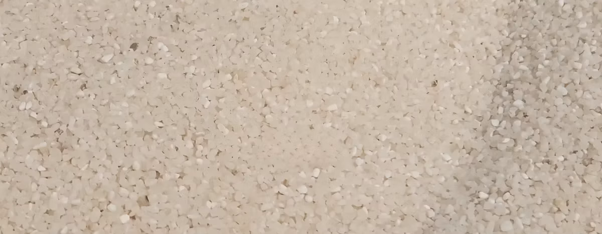 Broken Dog Rice