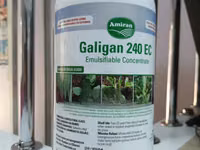 Galigan 240ec Selective Herbicide For Onions 1l — foto 1