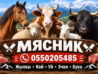 Услуги мясника/касатчы для забоя и разделки скота на выезде. Работаем — picha 1