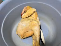 Chickens — 照片 7