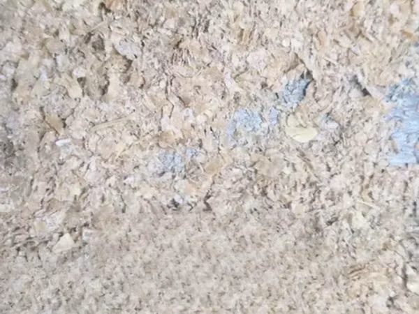 Wheat Bran