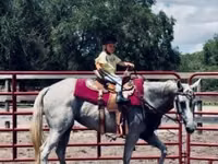 Farasi jike, Quarter Horse — picha 8