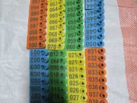100 Pack Multicoloured Goat Tags — photo 2