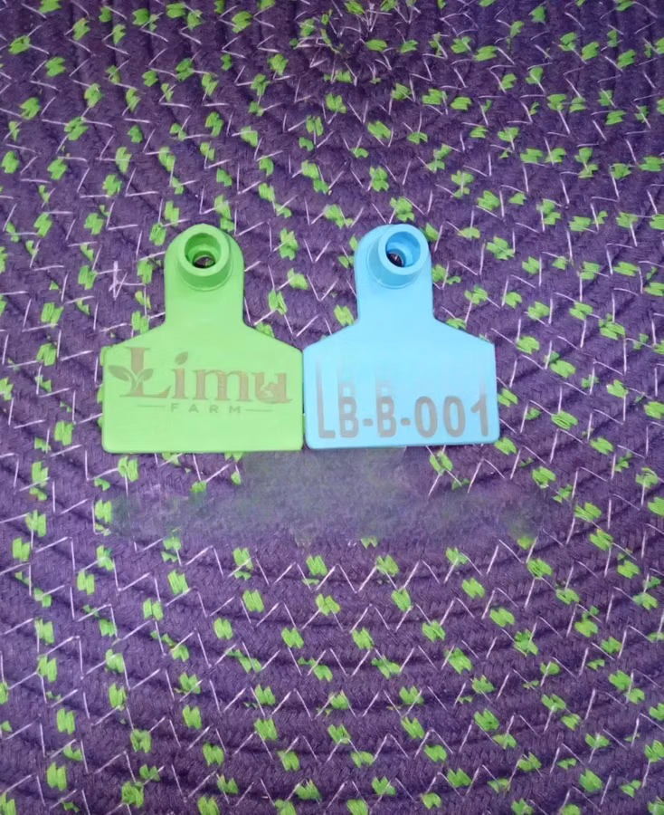 Farm Herd Tracking Sheep Small Numbered Tags