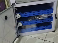 Automatic Egg Incubator/ Electric 204eggs Capacity Ac/Dc Incubator — photo 2