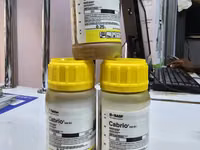 Cabrio 250ec Coffee Fungicide 250ml — 照片 4