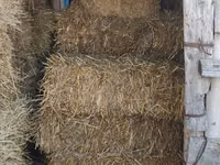 Vând nutreț pentru animale . — 照片 5