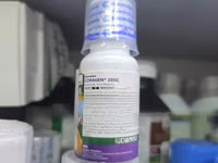 Coragen 20sc Insecticide 30ml — фото 1