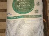 Rassiskiy Ammafos bor — picha 2