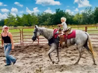 Farasi jike, Quarter Horse — picha 6
