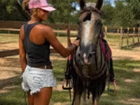 Horse (M), Quarter Horse — photo 7