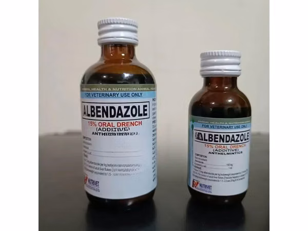 Albendazole Dewormer | Livestock Worm Treatment | Veterinary Kenya