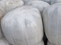 Corn Silage — 照片 4