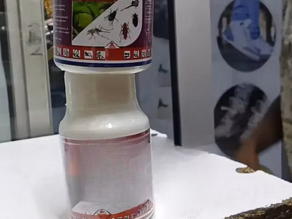 Lava Insecticide