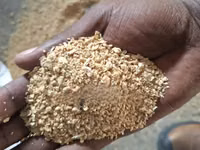 Soya Kavu (Soya Beans Meals ) — Foto 2