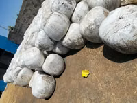 Silage Available. — फ़ोटो 2