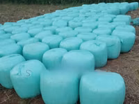 Wrapped, Cylindrical Silage Bales Livestock Feed - Per 60 Kg — 照片 2
