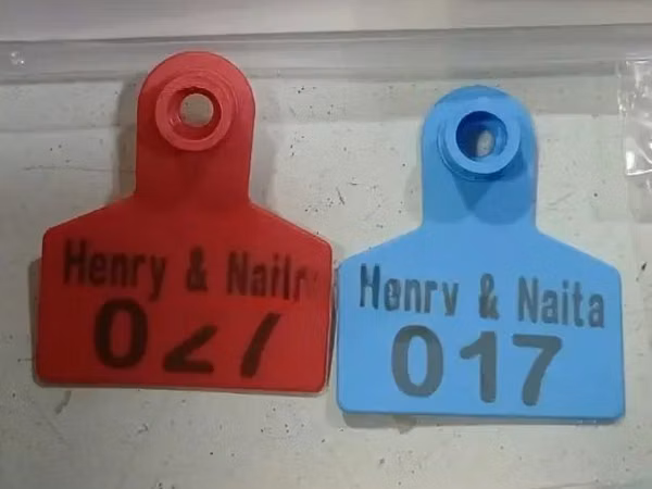 Customized Blue/Red Colored Small Ear Tags for Goats/Sheeps