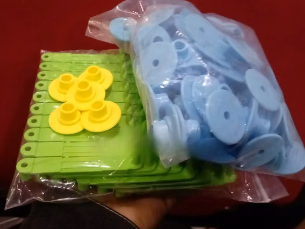 Yellow Customized by Numbers Round Ear Tags