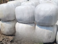 Silage Available More Than 450 Tons — photo 1