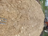 Baled Silage — फ़ोटो 2
